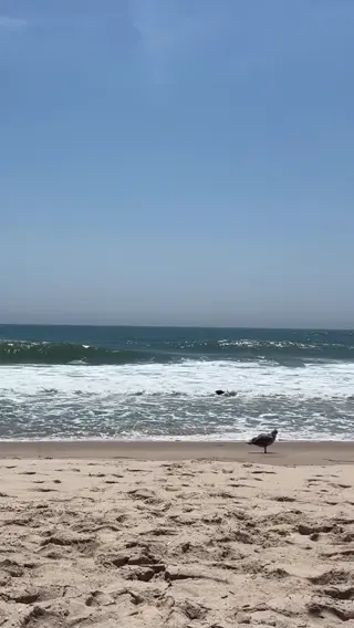 graceboor leaked video, frame 6