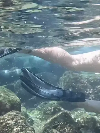 grelmosss leaked video, frame 5