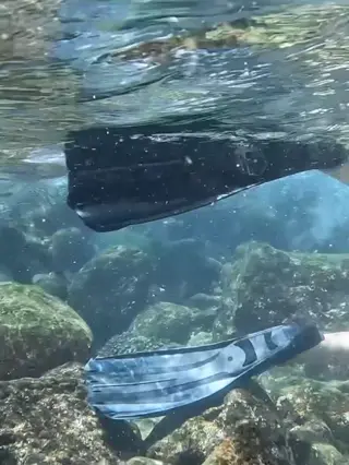 grelmosss leaked video, frame 6