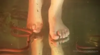greymouse leaked video, frame 1