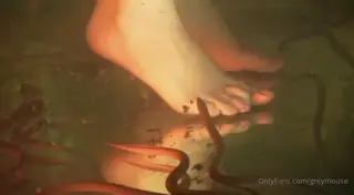 greymouse leaked video, frame 6