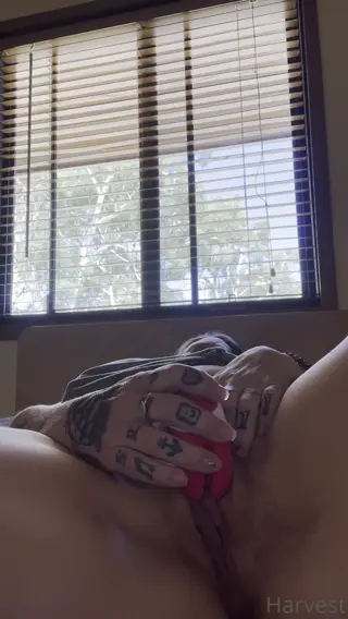harvest leaked video preview
