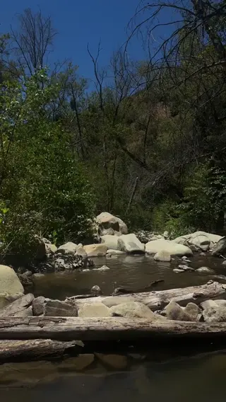 heyemilyhall leaked video, frame 4