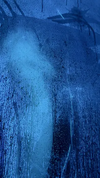 heykris leaked video, frame 2