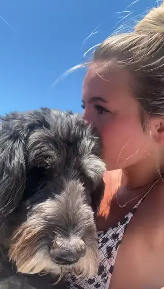 hippicamm leaked video preview