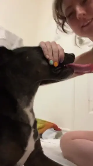 hitchhikercourtney leaked video, frame 3