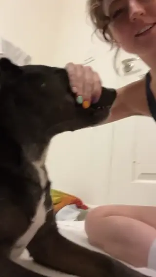 hitchhikercourtney leaked video, frame 4