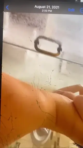 hotblockchain leaked video preview