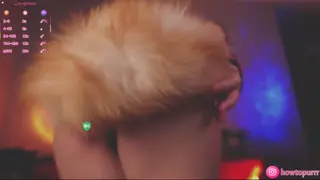 howtomeow leaked video, frame 3