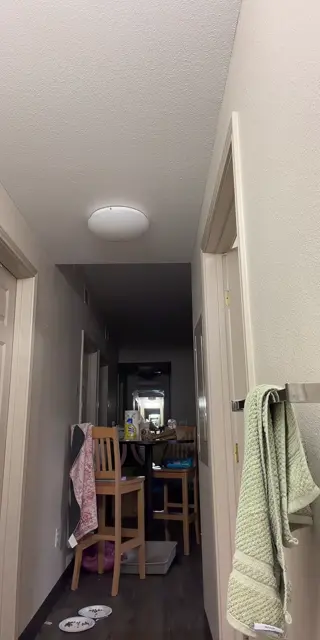https.jadenmae leaked video preview