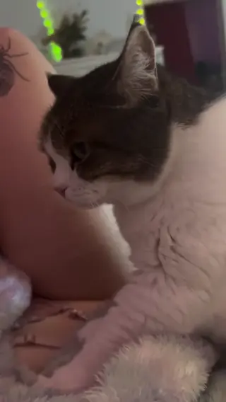 i.dina_hui leaked video preview