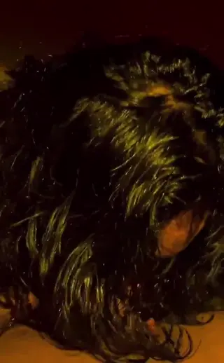 iluvanii leaked video preview