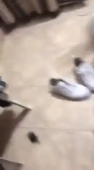 isaramirezoficial leaked video, frame 2