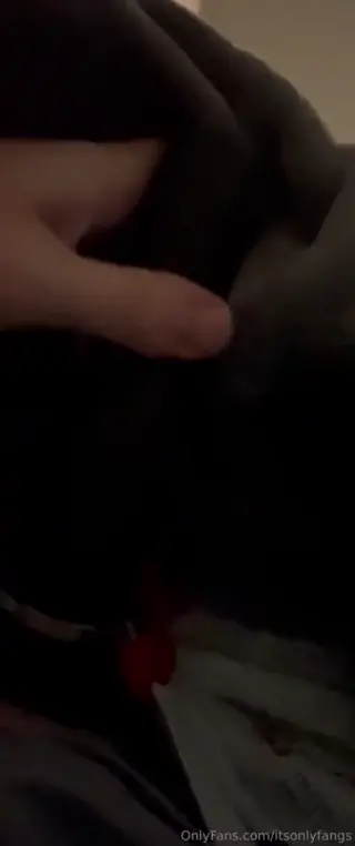 itsonlyfangs leaked video, frame 1