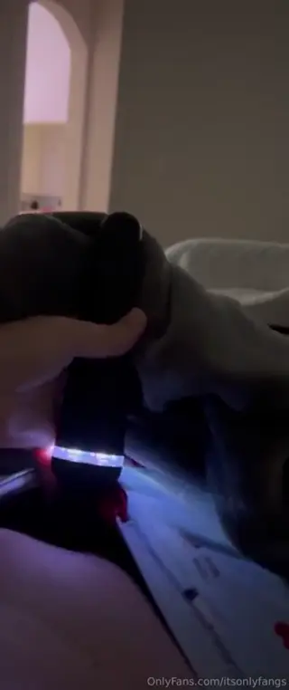 itsonlyfangs leaked video, frame 3