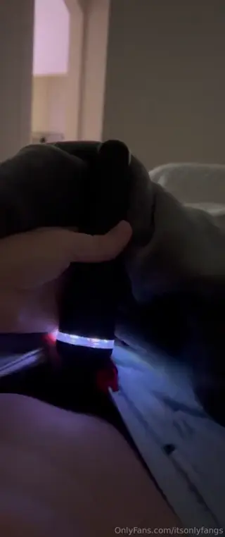 itsonlyfangs leaked video, frame 4