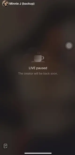 itsrealminnie leaked video, frame 4