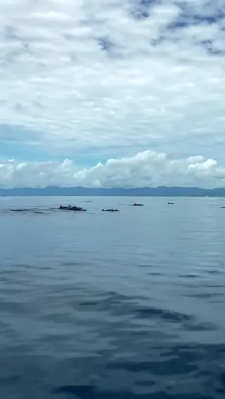 itsrubyrojas leaked video preview