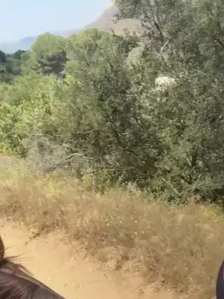 jackbxo leaked video, frame 4