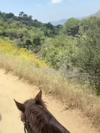 jackbxo leaked video, frame 5