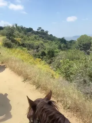 jackbxo leaked video, frame 6