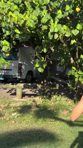 jadejacobs leaked video, frame 4