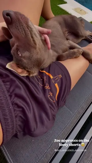 jadejacobs leaked video preview