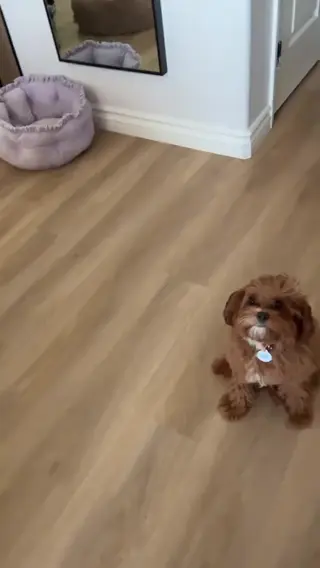 jaethefade leaked video, frame 5