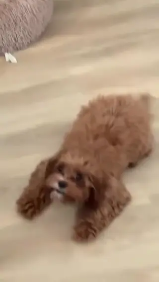 jaethefade leaked video, frame 6