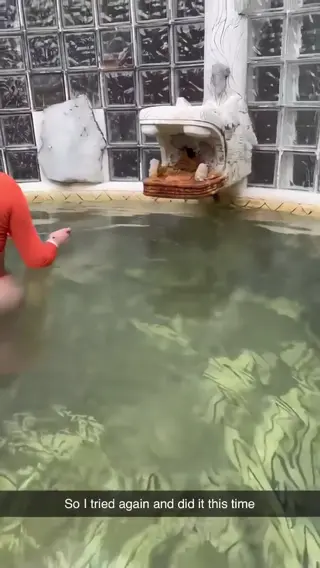 jailyneojeda leaked video, frame 5