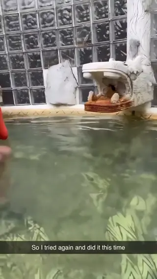 jailyneojeda leaked video, frame 6