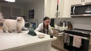 jasminx leaked video, frame 3