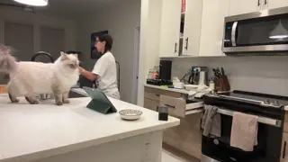 jasminx leaked video, frame 4