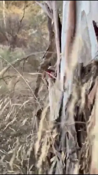 jennigonzlez5 leaked video preview