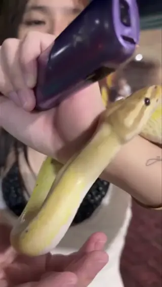 jhewelryhershey_ leaked video, frame 5