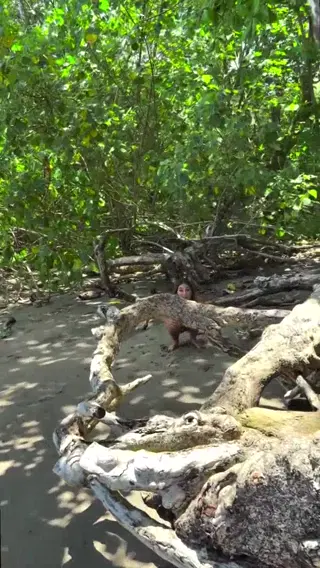 joellperry leaked video preview