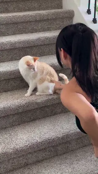 joymei leaked video preview