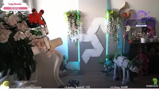 kdrkitten leaked video, frame 5