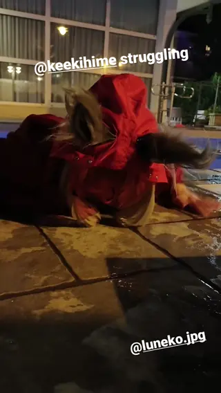 keekihime leaked video, frame 3