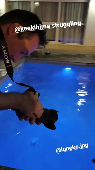 keekihime leaked video, frame 5
