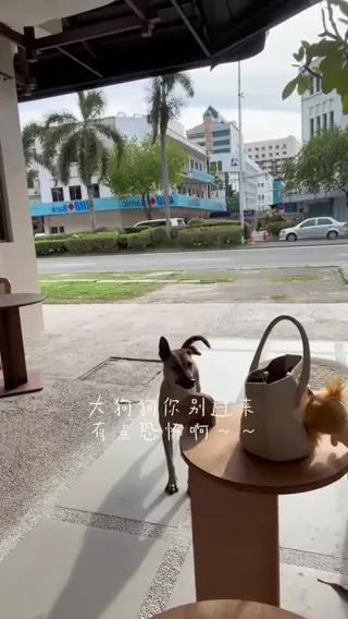 kierralee21 leaked video, frame 4