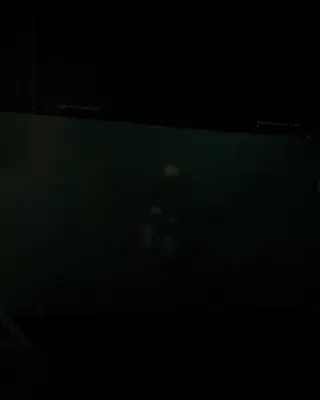 lalalalisa_m leaked video preview