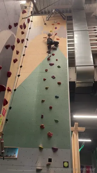 lazylittleleaf leaked video, frame 2