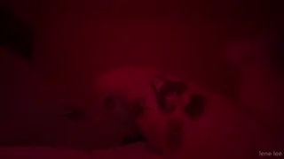 lenerox leaked video, frame 1