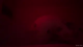 lenerox leaked video, frame 2