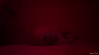 lenerox leaked video, frame 4