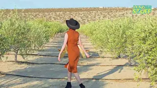 letydoesstuff leaked video, frame 1