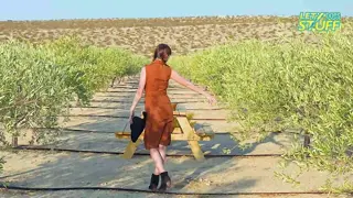 letydoesstuff leaked video, frame 5