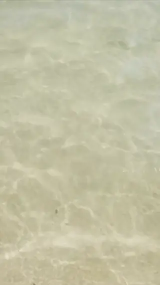 lexibrookerivera leaked video, frame 6