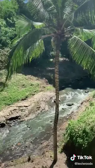 lexiwood leaked video, frame 6